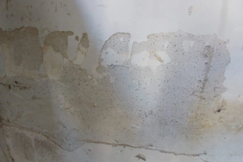 Mur endommagé après un dégât des eaux nécessitant une expertise des dommages.