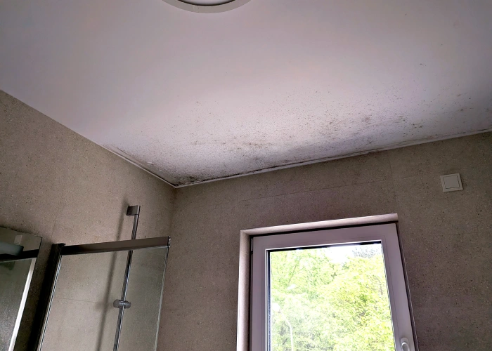 Moisissure au plafond d'une salle de bain liée à un problème d'humidité.