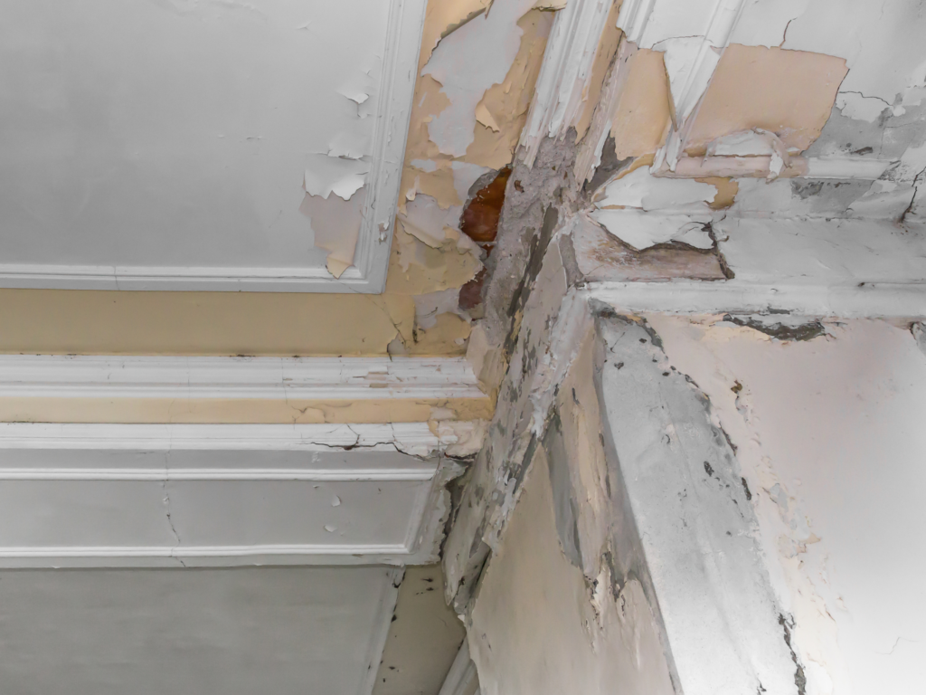 dégâts plafond