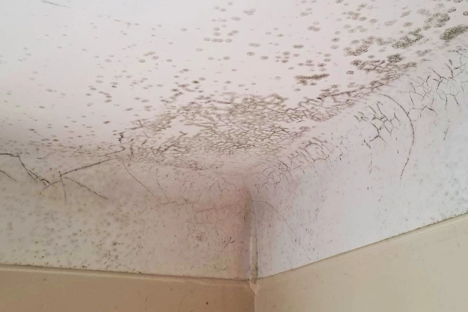 Plafond avec moisissures après un sinistre lié à l’humidité