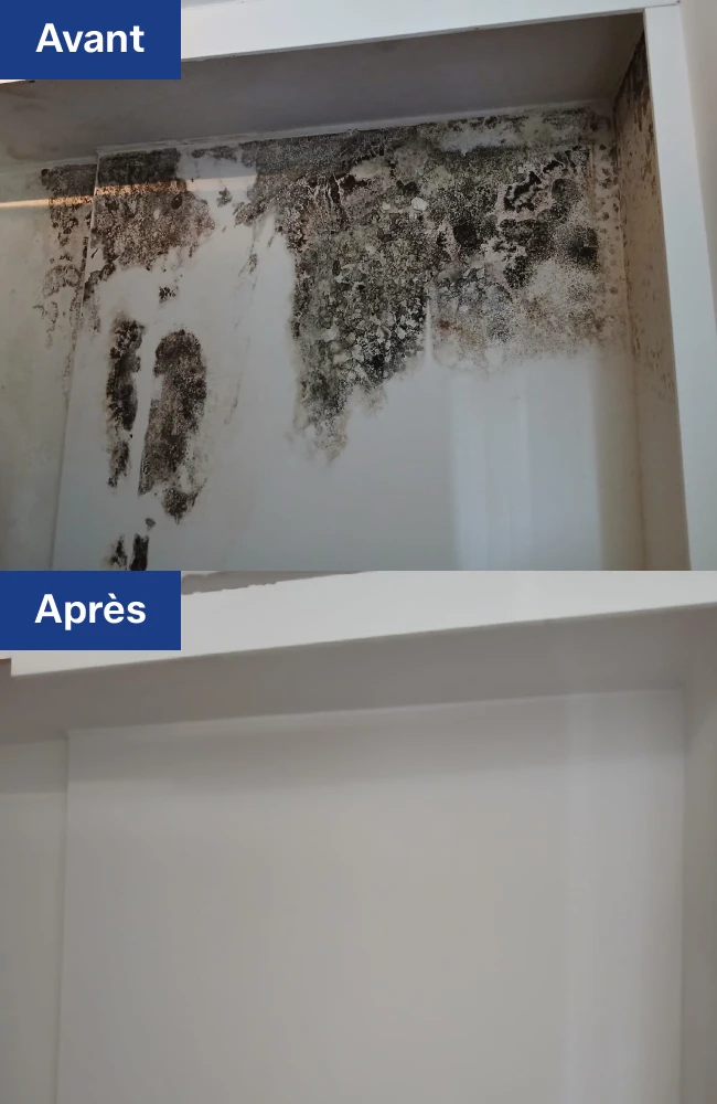 Mur intérieur rénové après traitement des moisissures et de l'humidité