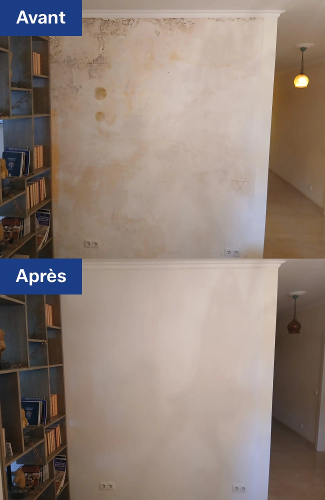 Mur intérieur endommagé par une infiltration d'eau avant rénovation